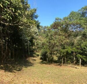 Pista Escola
