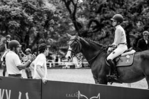 Treino cavalo e cavaleiro