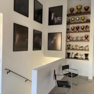 Sala de troféus