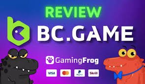 Understanding BC Game Withdrawal Methods 0 Understanding BC Game Withdrawal Methods 0