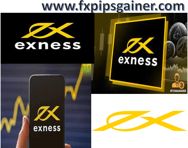 Understanding Exness Legal Status For Trading Understanding Exness Legal Status For Trading